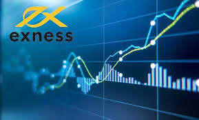 Exness in Colombia Opportunities and Insights Exness in Colombia Opportunities and Insights